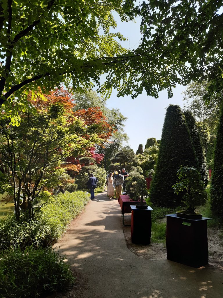 20230527_110412.jpg