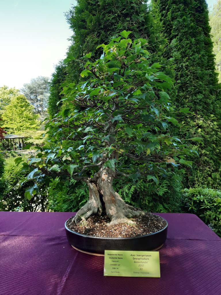 20230527_111219.jpg