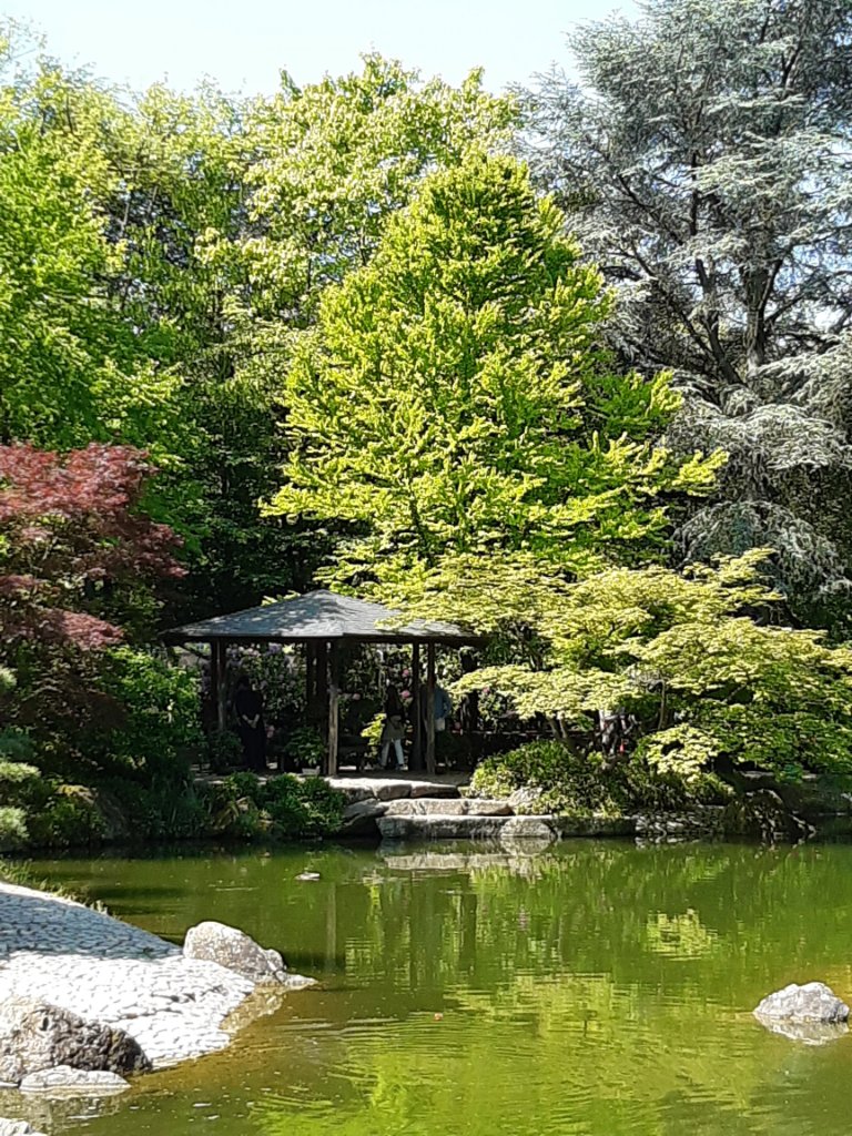 20230527_111250.jpg