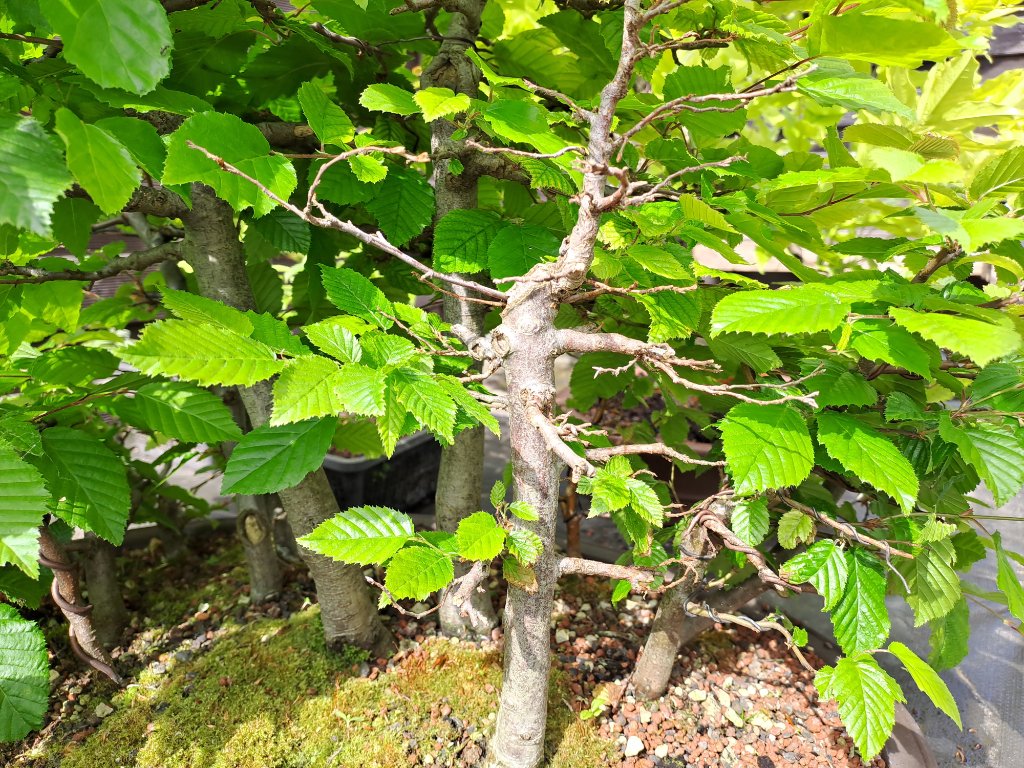20230602_162816.jpg