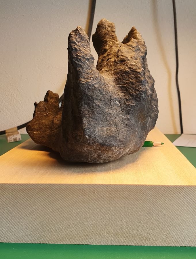 Erst wird der Stein mit der gewünschten Neigung auf dem Holz hingestellt.