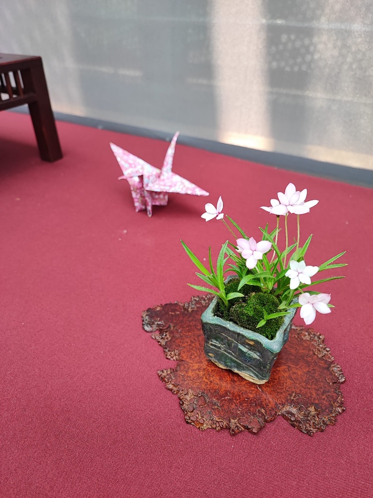 a764eaef-e4ad-4fc9-a340-112cb6b362c5.jpeg