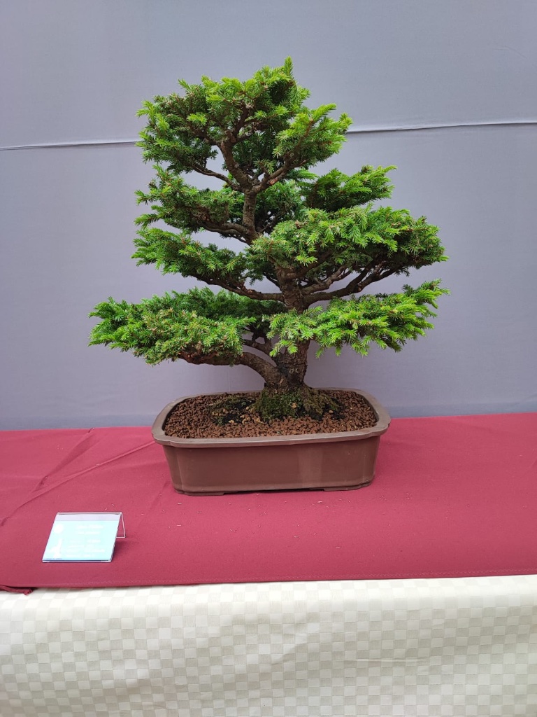 ead5301d-39a3-42df-b168-2e16604da328.jpeg