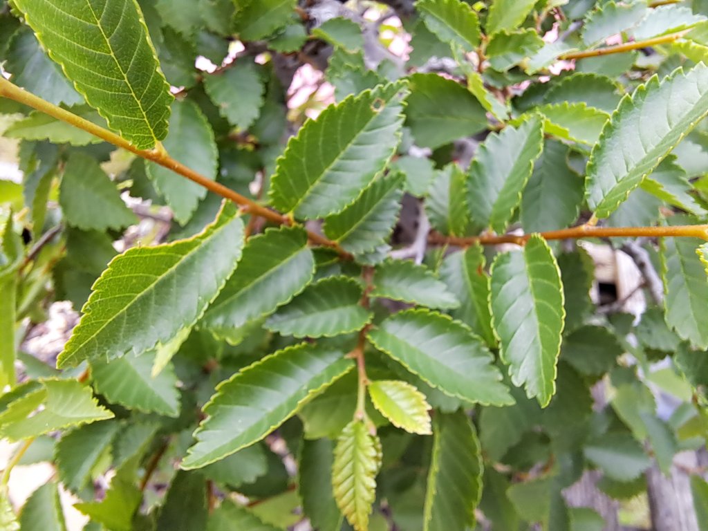 20230607_183040.jpg