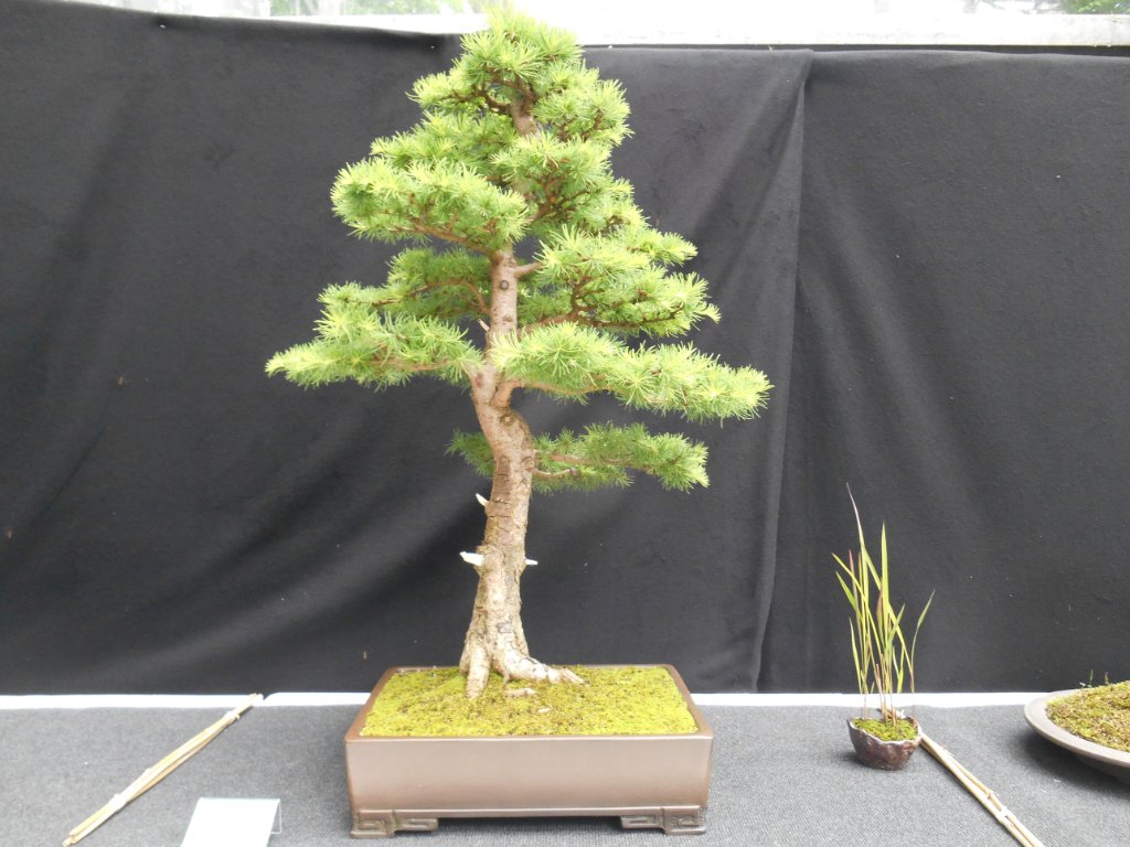 2014