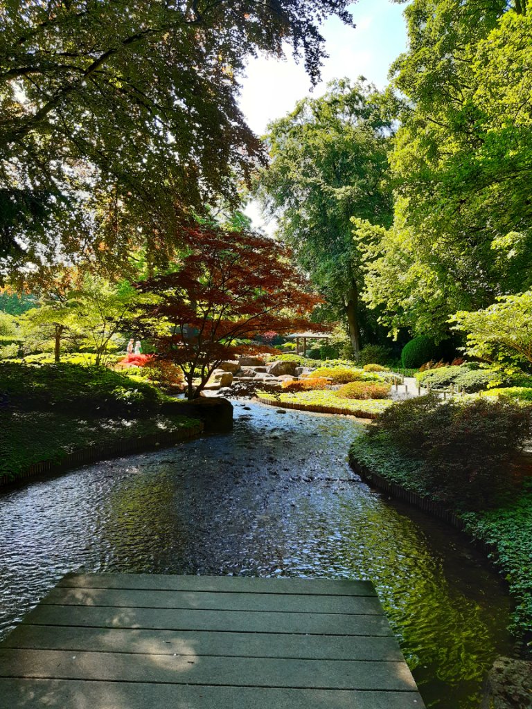 20230610_101643.jpg