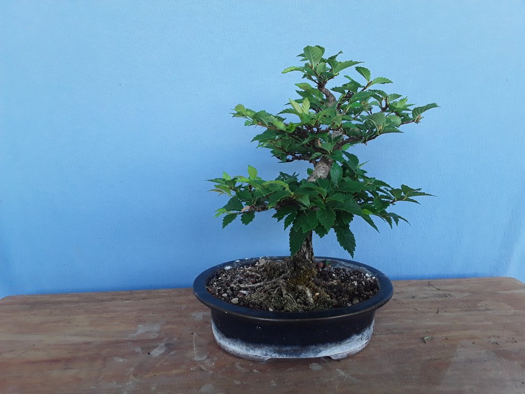 20230616_115101.jpg