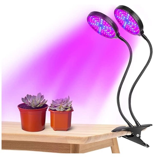 growlights.jpg