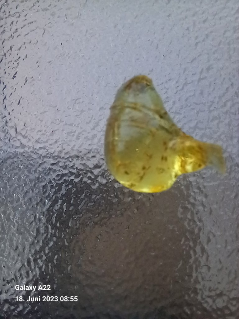 20230618_085535.jpg