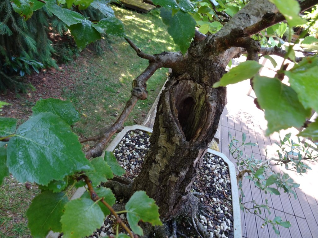 DSC02940.JPG