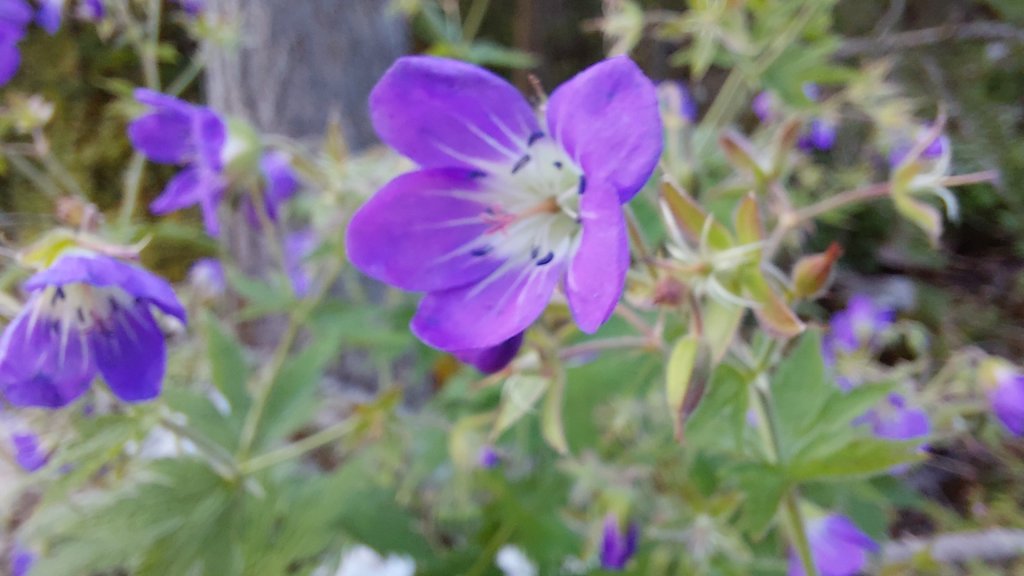 20230626_060533.jpg