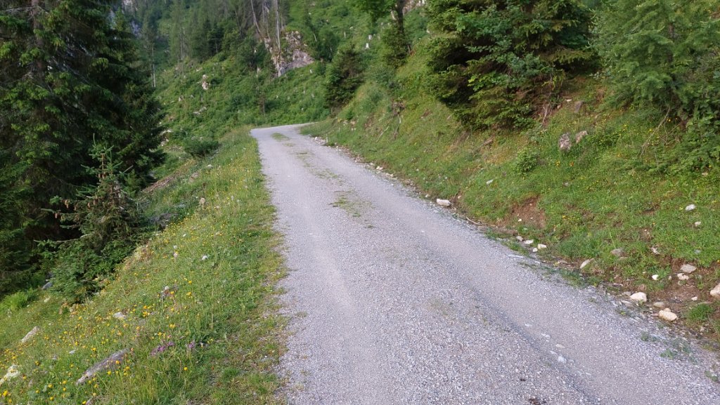 Weg