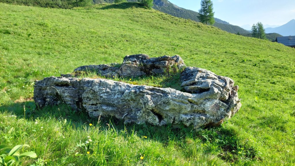 20230626_074043.jpg