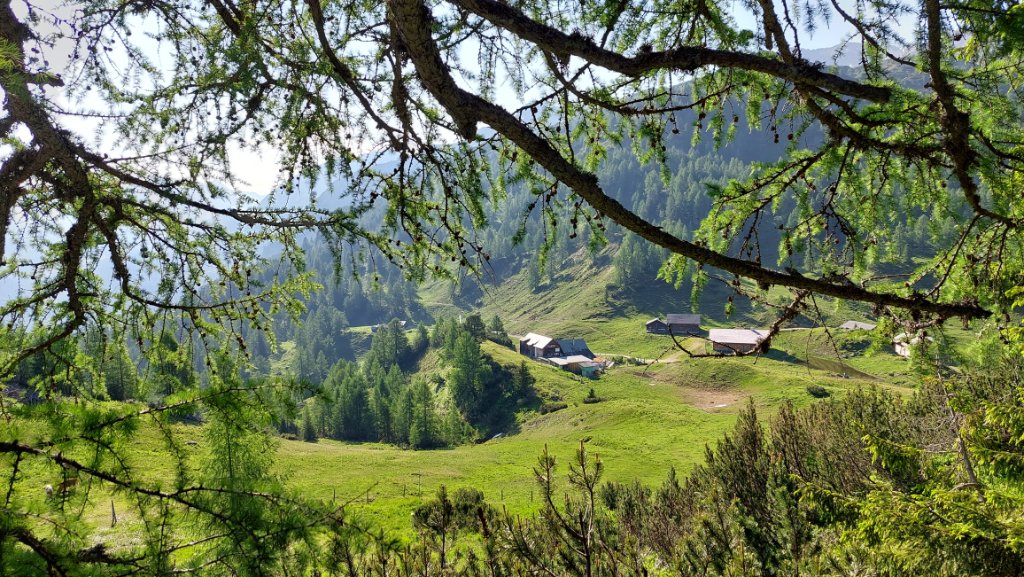 Blick zurück