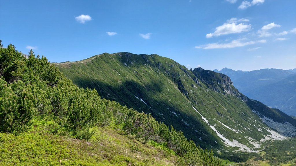 20230626_095642.jpg