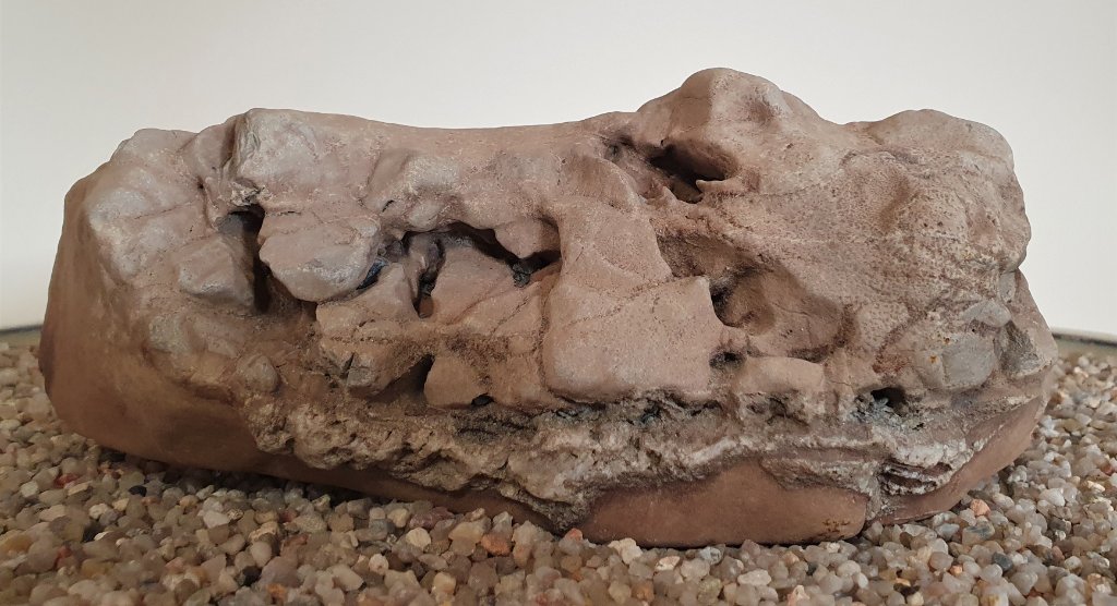 Felsenküstenstein? Er ist etwa 20 cm breit.
