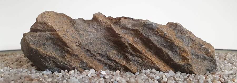 Noch ein Küstenfelsen. Die verschiedenen Gesteinslagen bestehen aus versteinerten Muscheln.