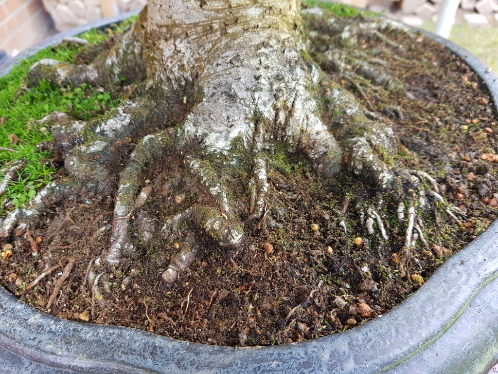 20230715_170312.jpg