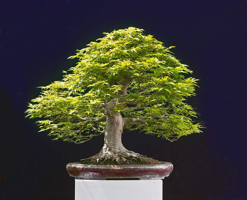 2023-07-TSD_0117x.jpg
