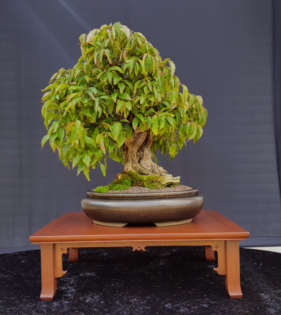 20230805_152728.jpg
