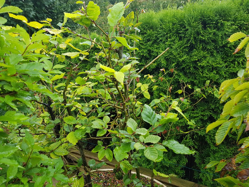 20230812_095543.jpg