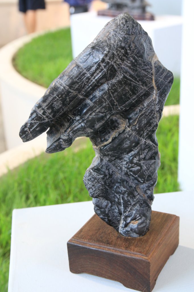 BUGA_009.JPG