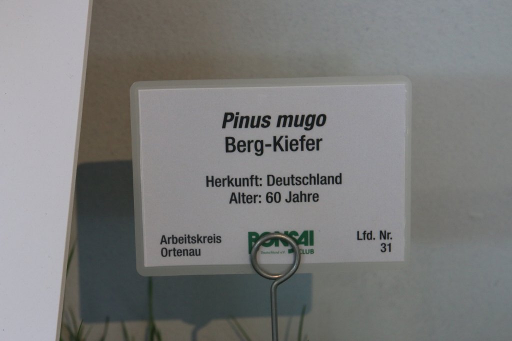 BUGA_020.JPG