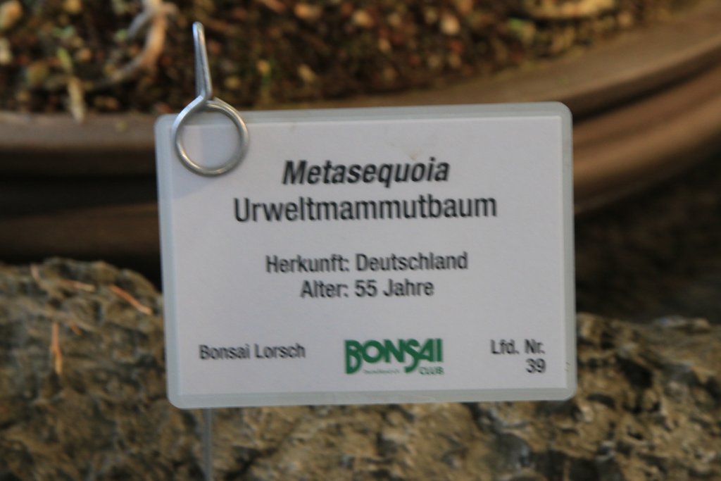 BUGA_023.JPG