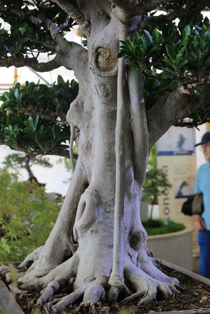 BUGA_073.JPG