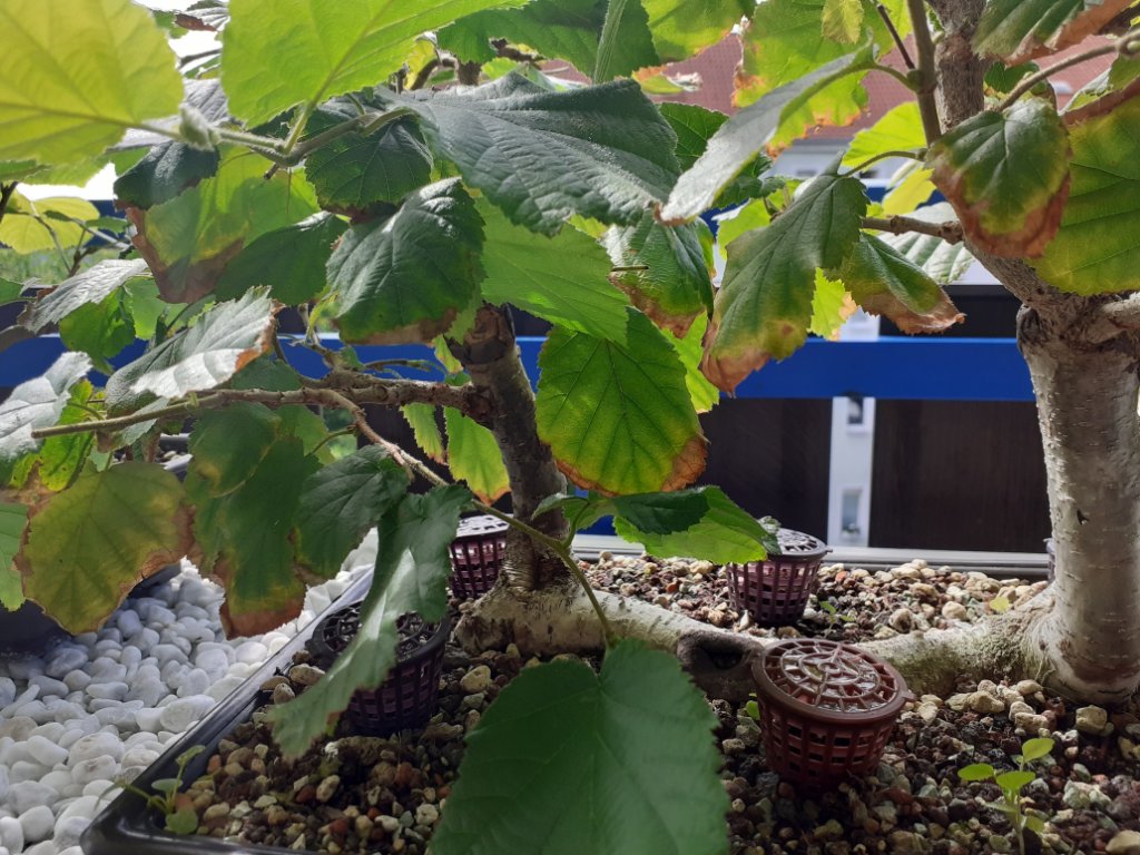 20230824_144523.jpg