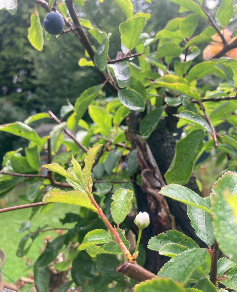 IMG_6344.jpeg