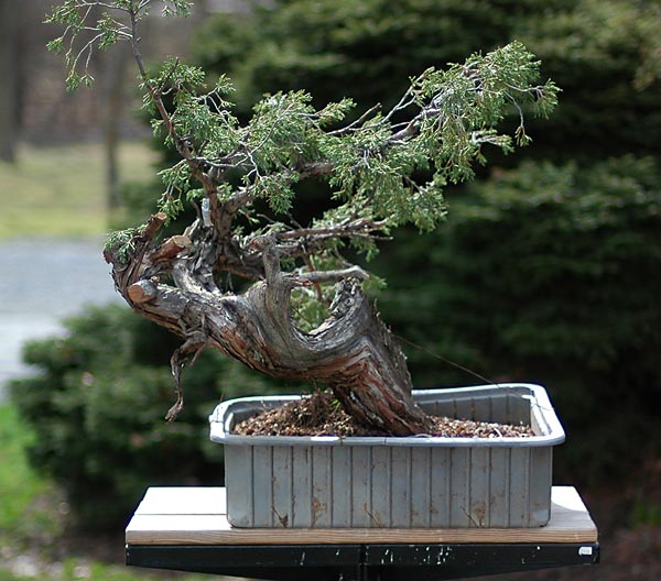Dsc_0939v.jpg