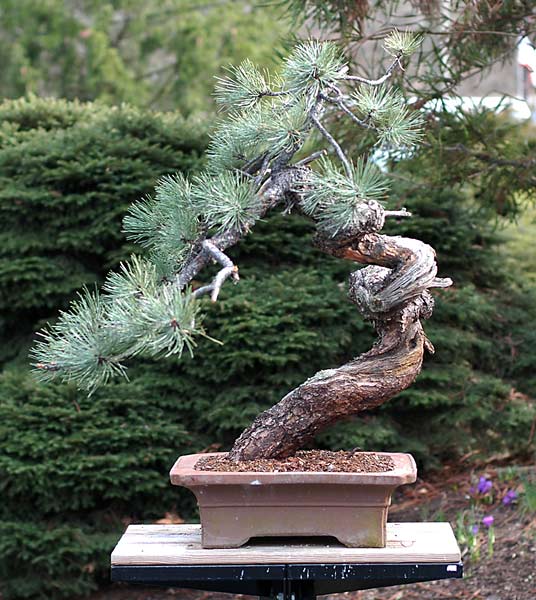 Dsc_0967v.jpg