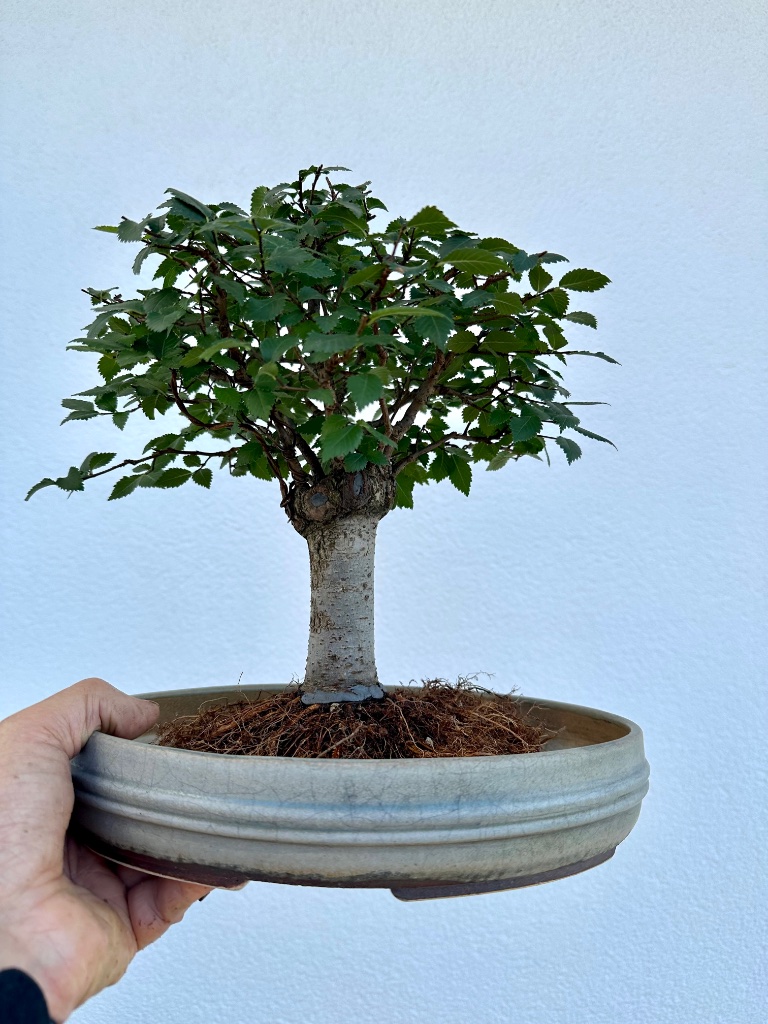 2: Kai Sperling