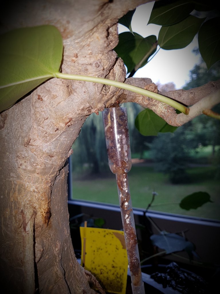 20230917_193307.jpg