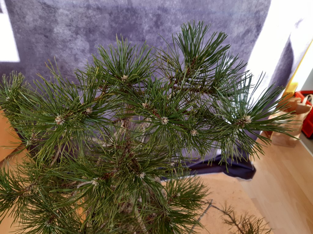 20231002_170919.jpg