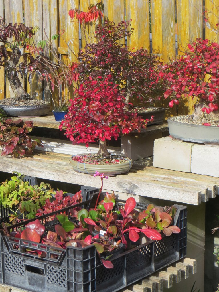 Herbstfarben-2_2023-10-22.jpg