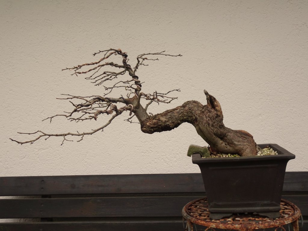 DSC03281.JPG