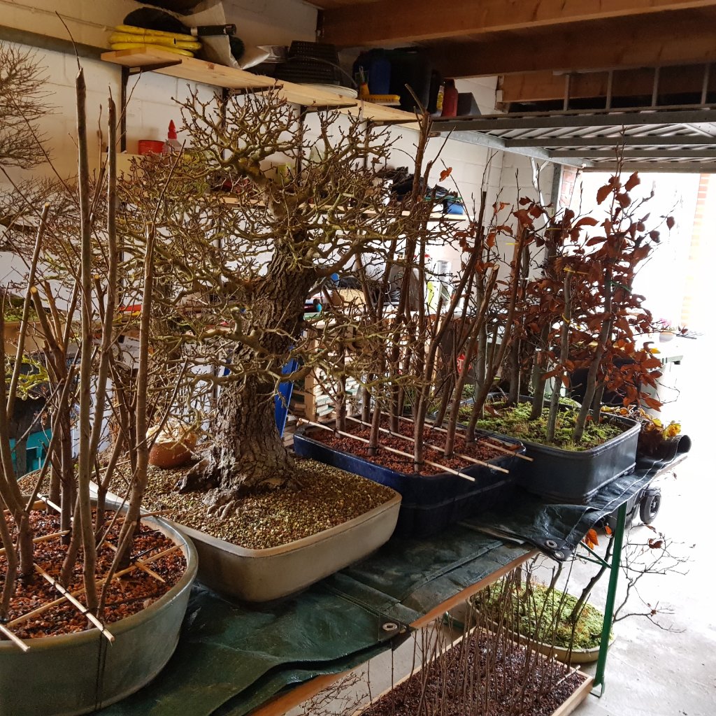 20231126_123134.jpg
