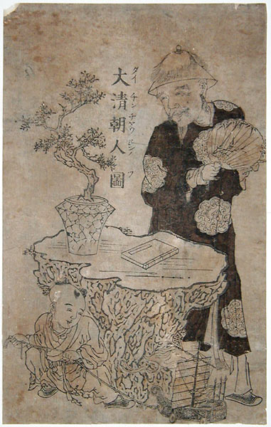 geliebte Bonsai