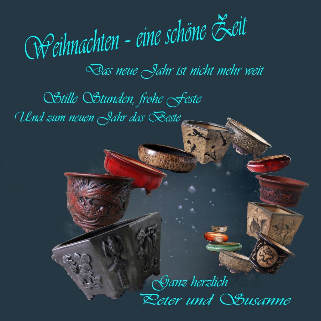 Weihnachtskarte 2023 deutsch.jpg