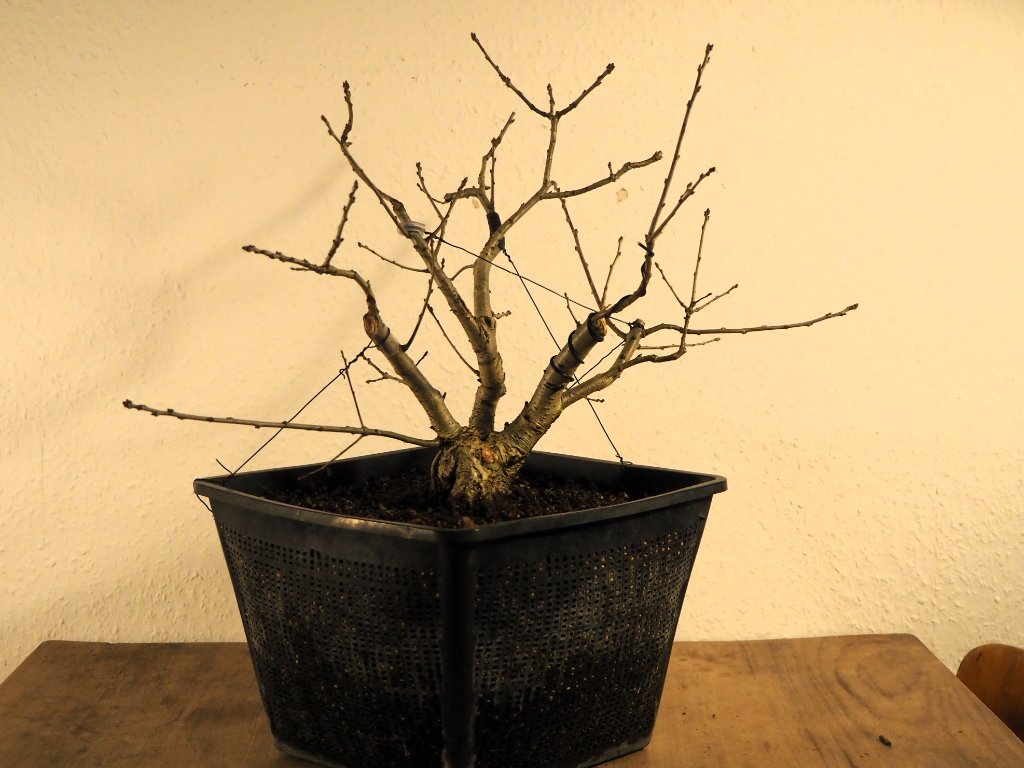 P1010875.JPG