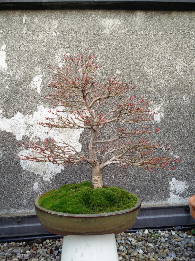 Vorderseite