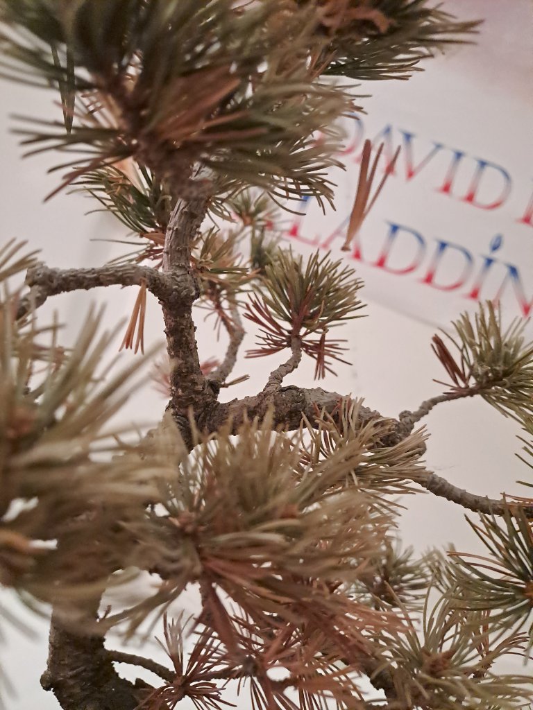 20231225_170240.jpg
