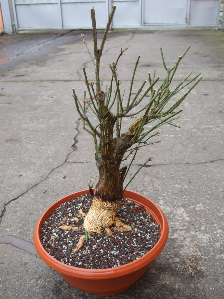 DSCF2353.JPG