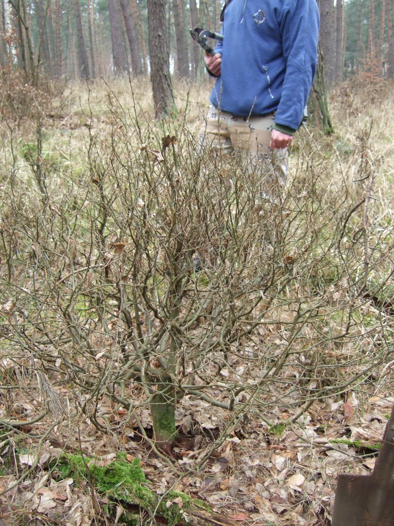 DSCF2077.JPG