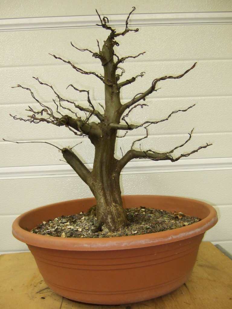DSCF3810.JPG