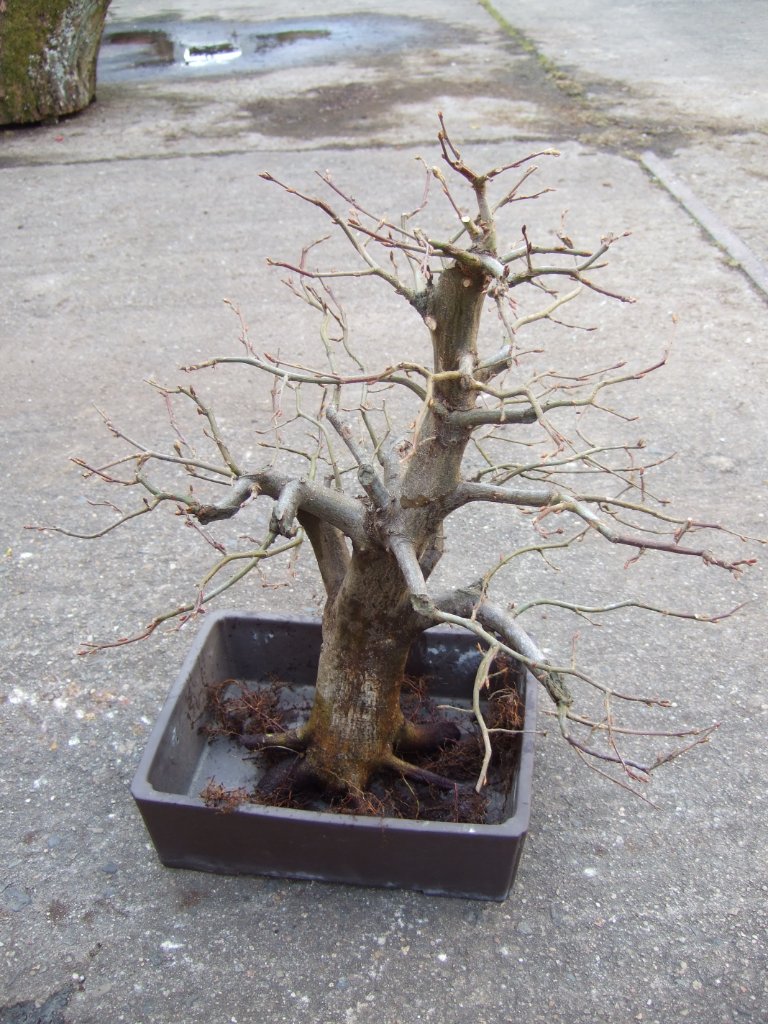DSCF5809.JPG
