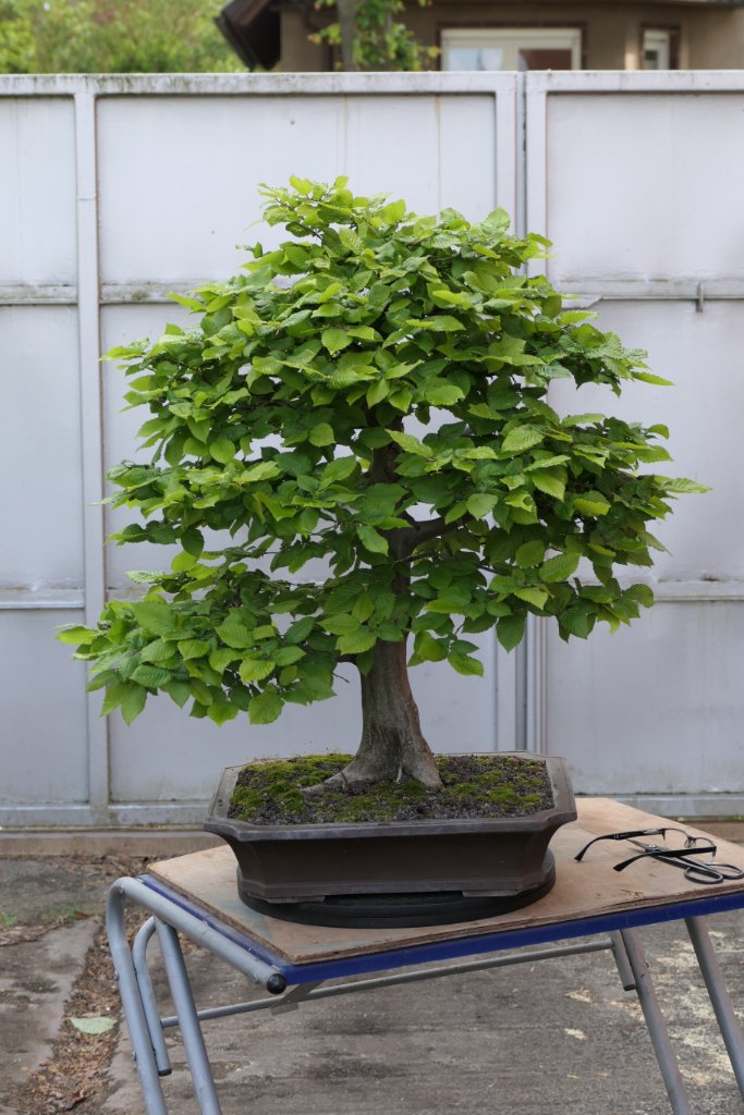 P1011430b.jpg