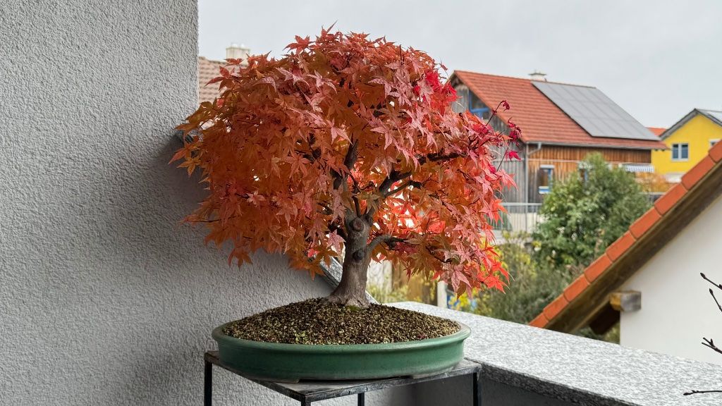 Herbst 2023
